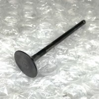 EXHAUST VALVE x1