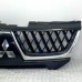 RADIATOR GRILLE