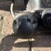 TOWBAR